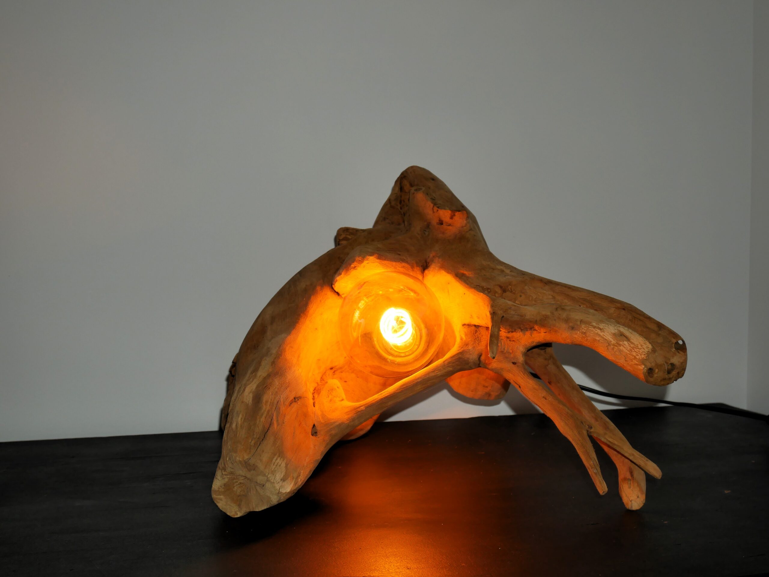 Lampe2 – Image 6