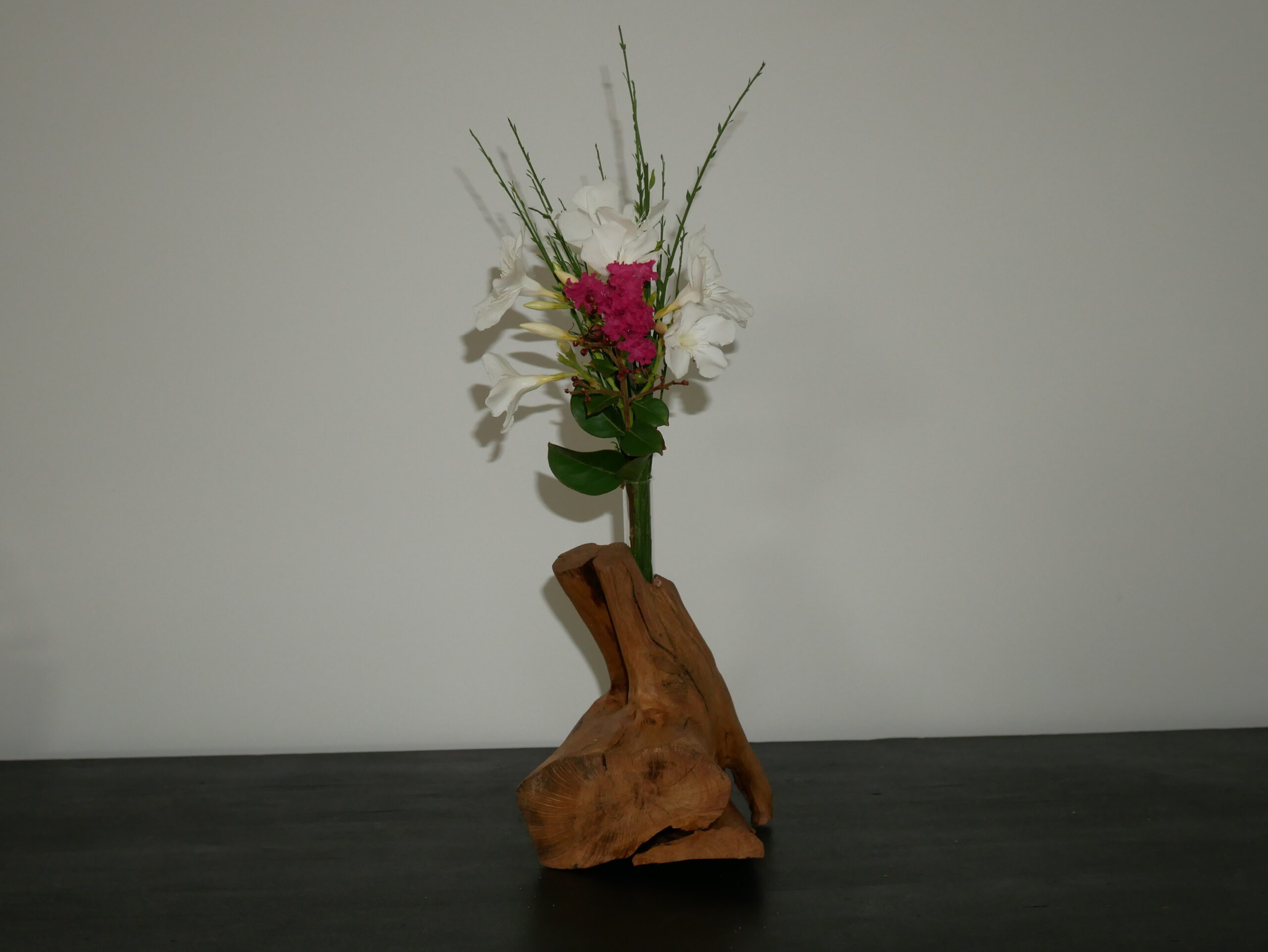 Soliflore A – Image 3