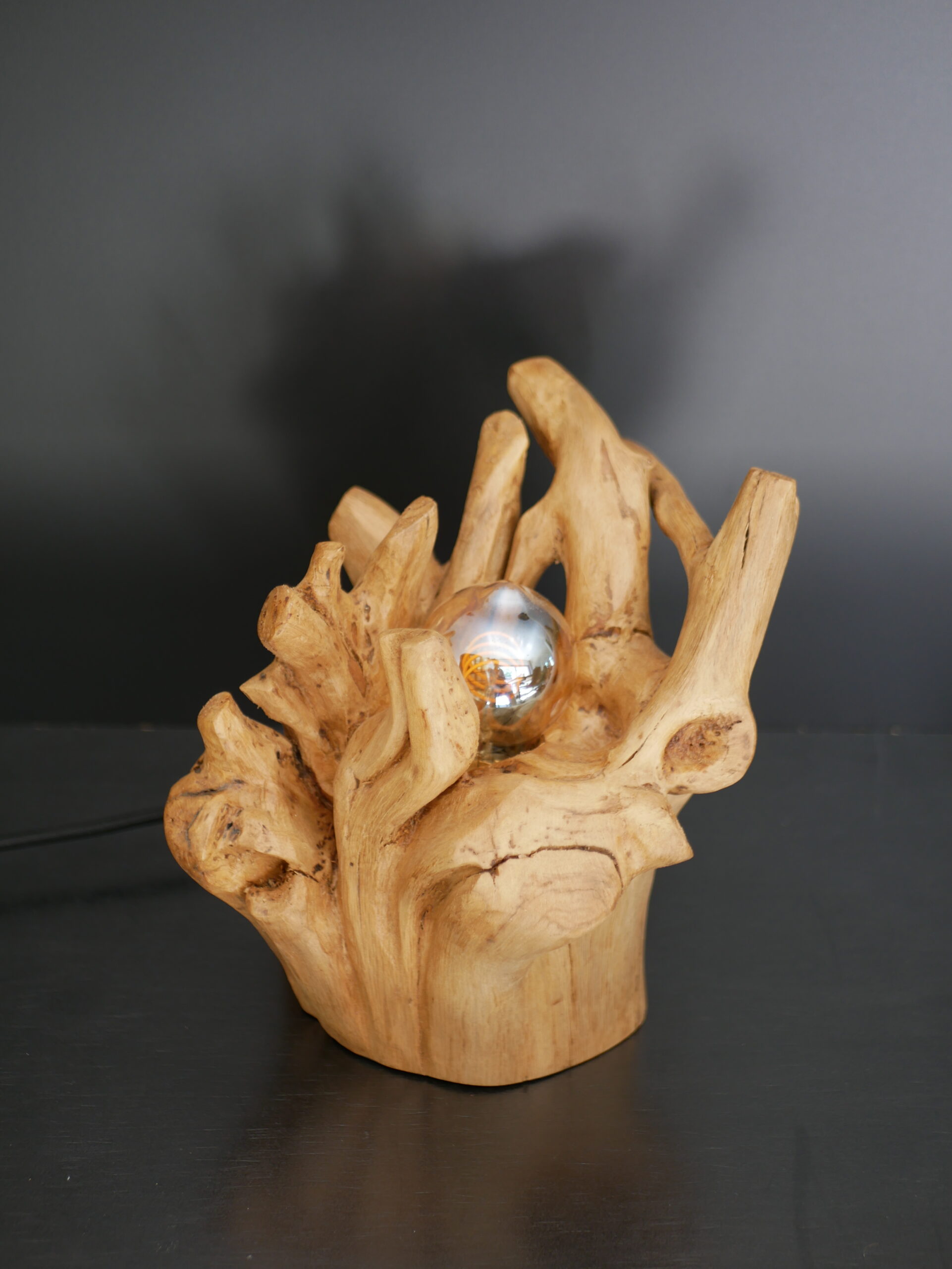 Lampe racine N°3 – Image 3