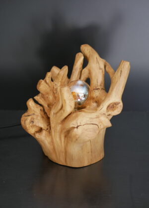 Lampe racine N°3