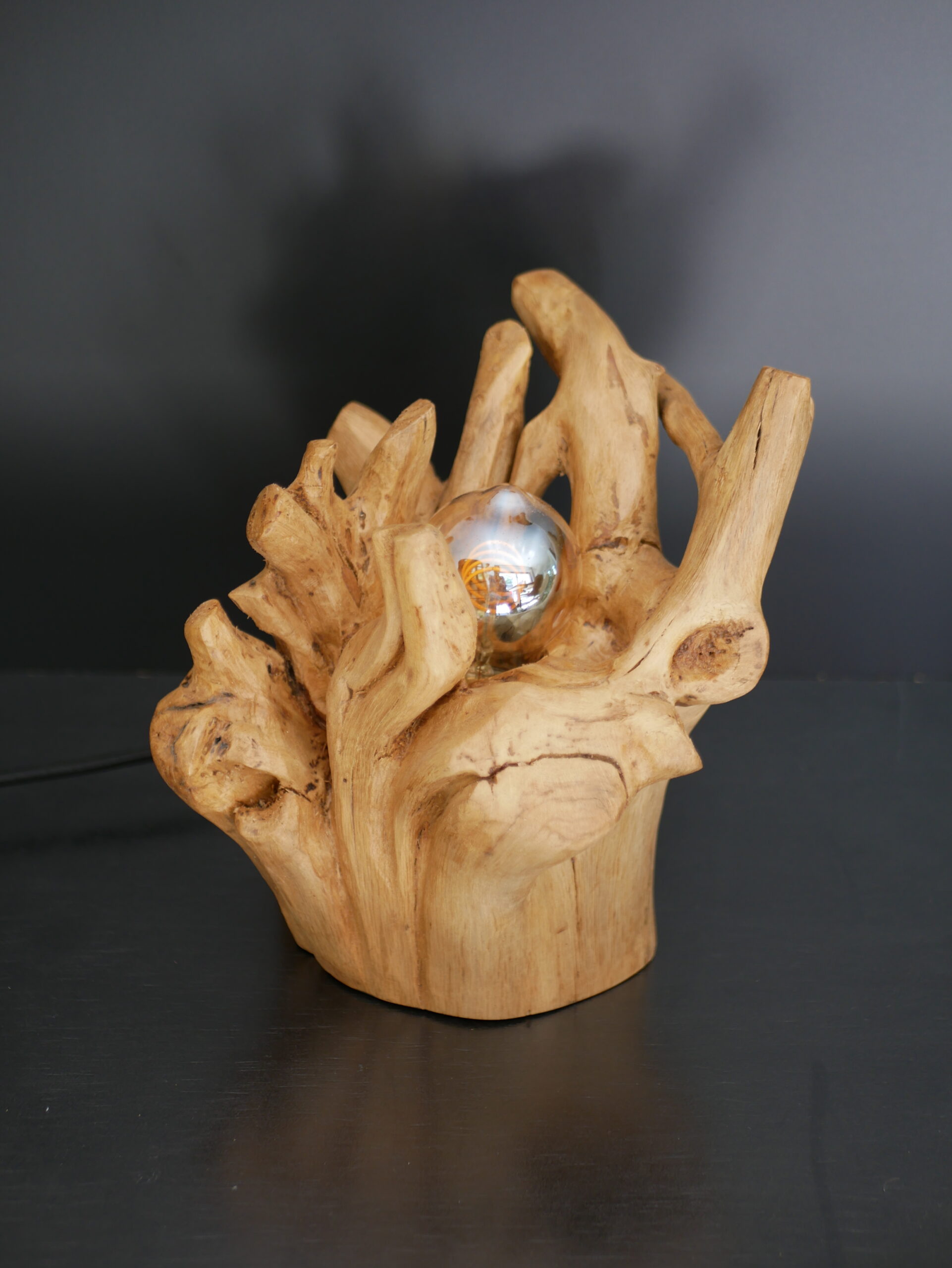 Lampe racine N°3