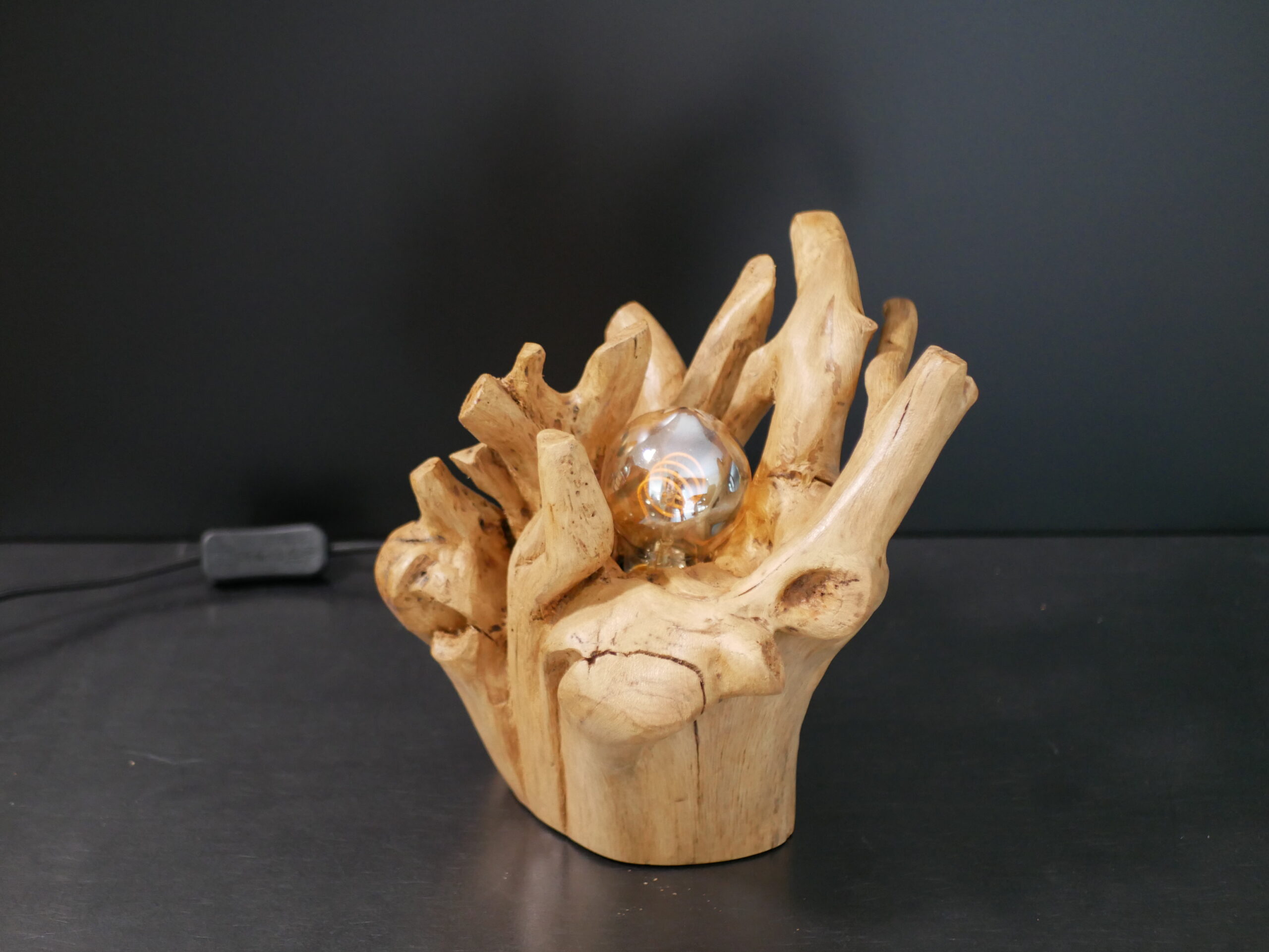 Lampe racine N°3 – Image 7