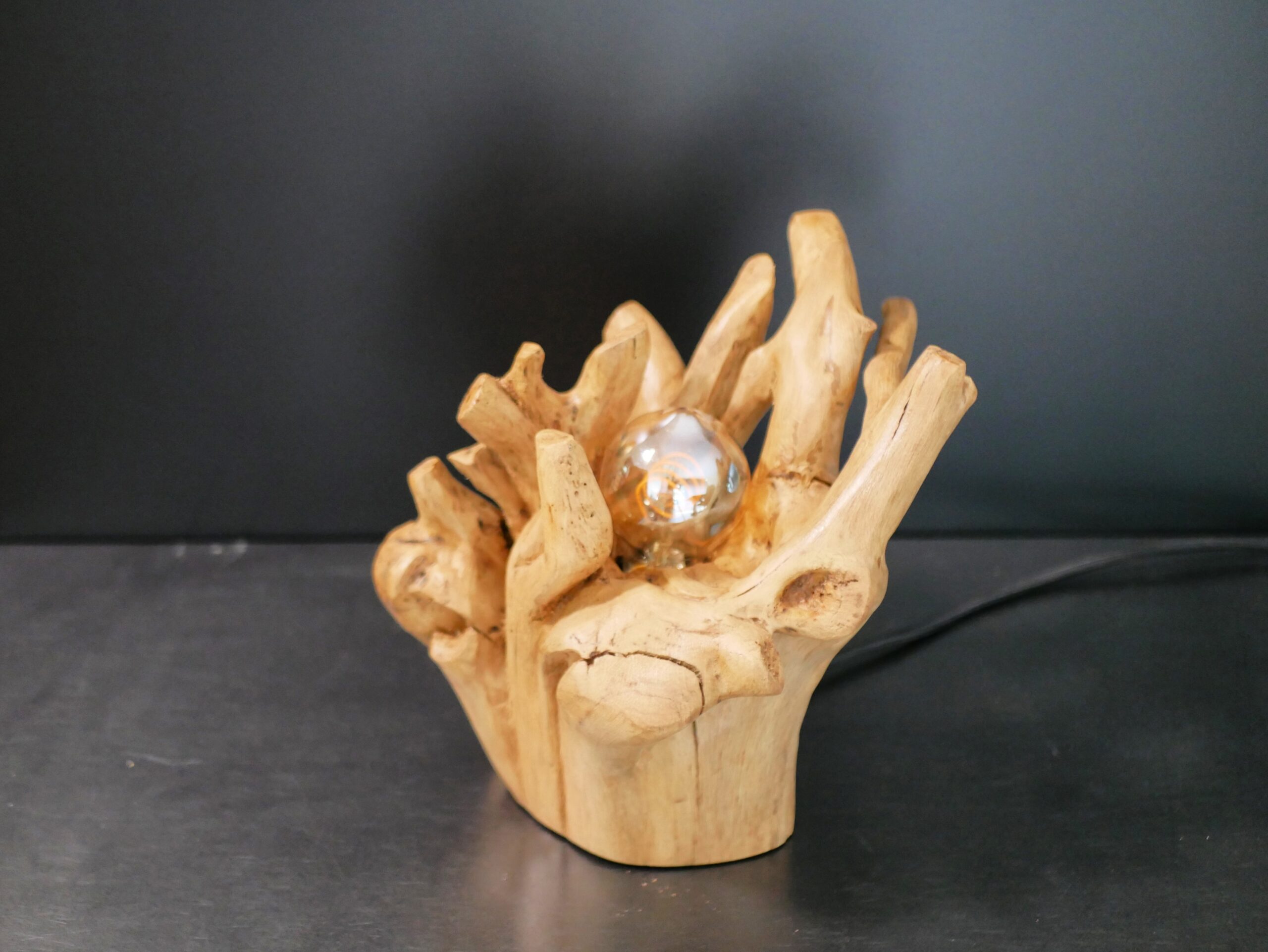 Lampe racine N°3 – Image 8