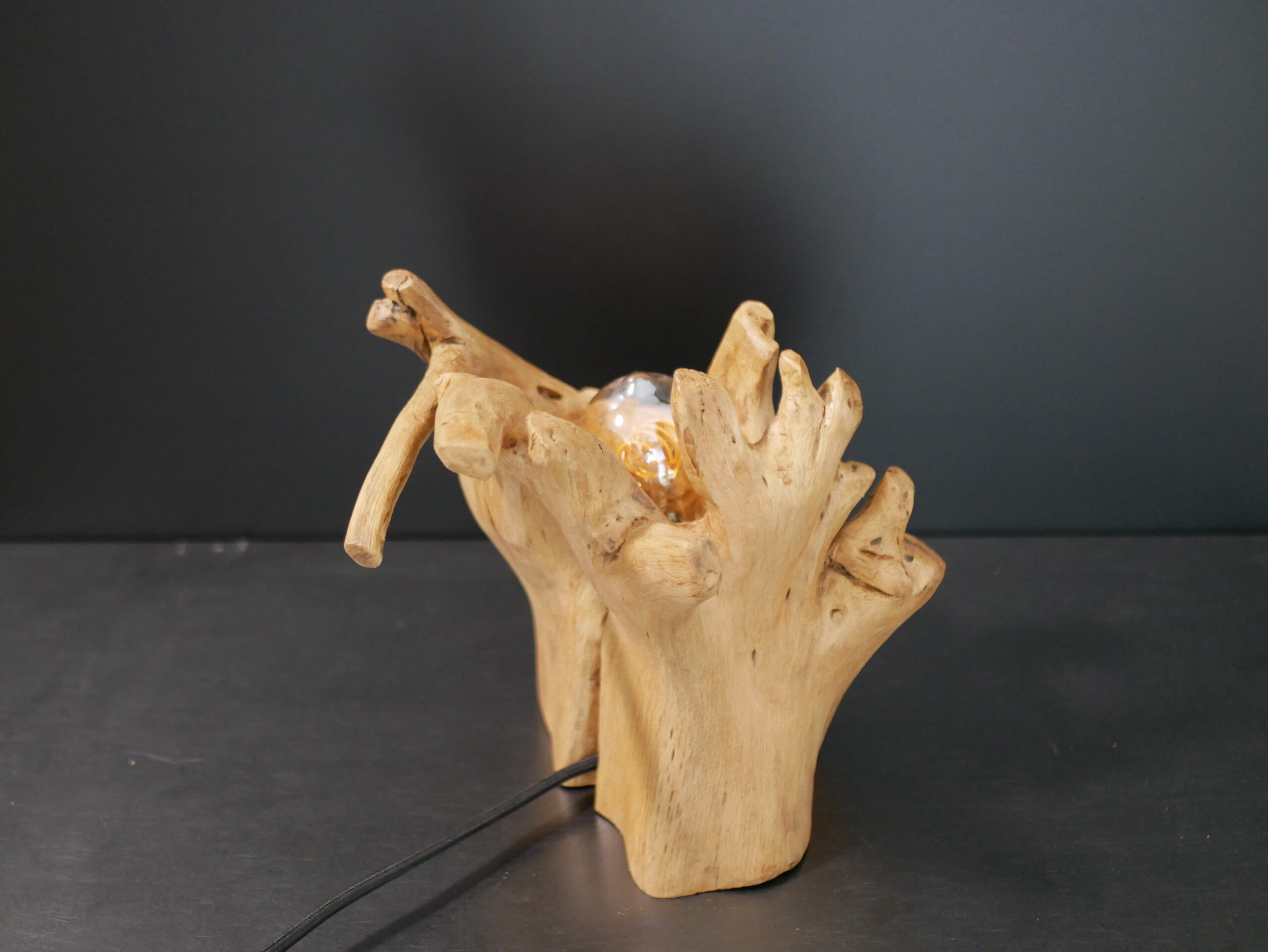Lampe racine N°3 – Image 9
