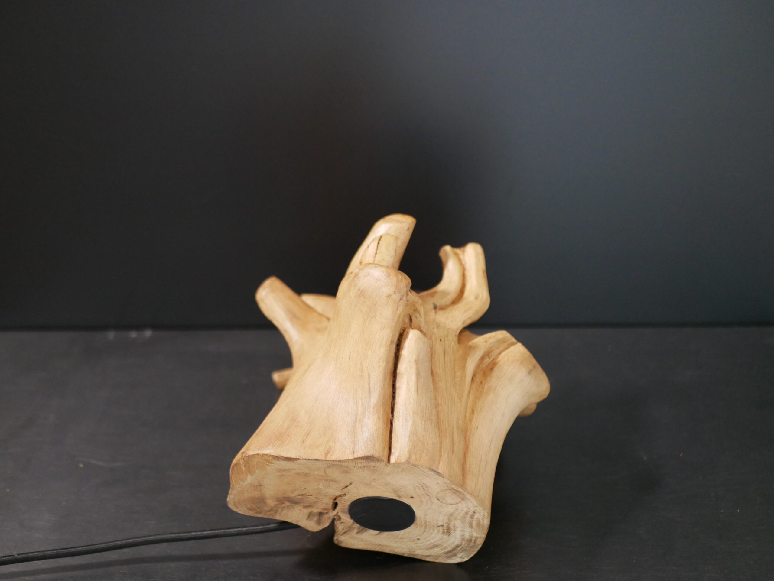 Lampe racine N°3 – Image 11
