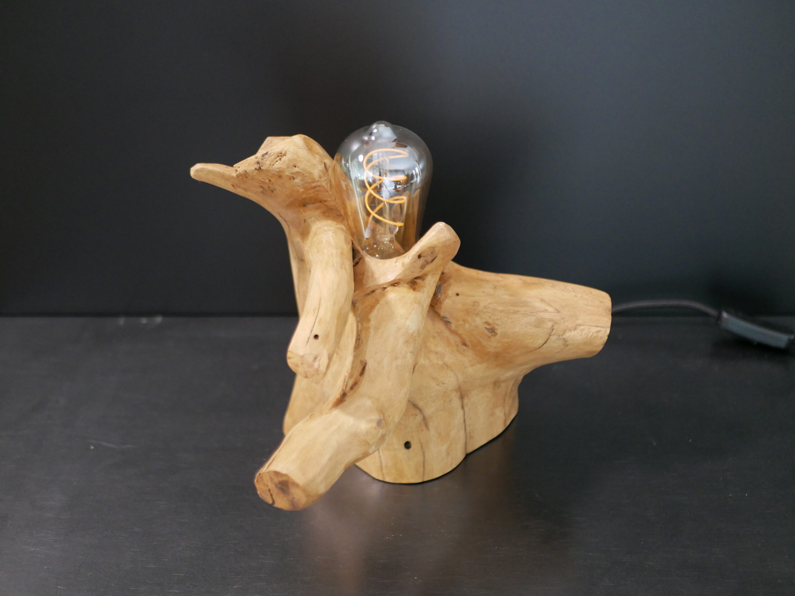 Lampe racine N°4 – Image 4