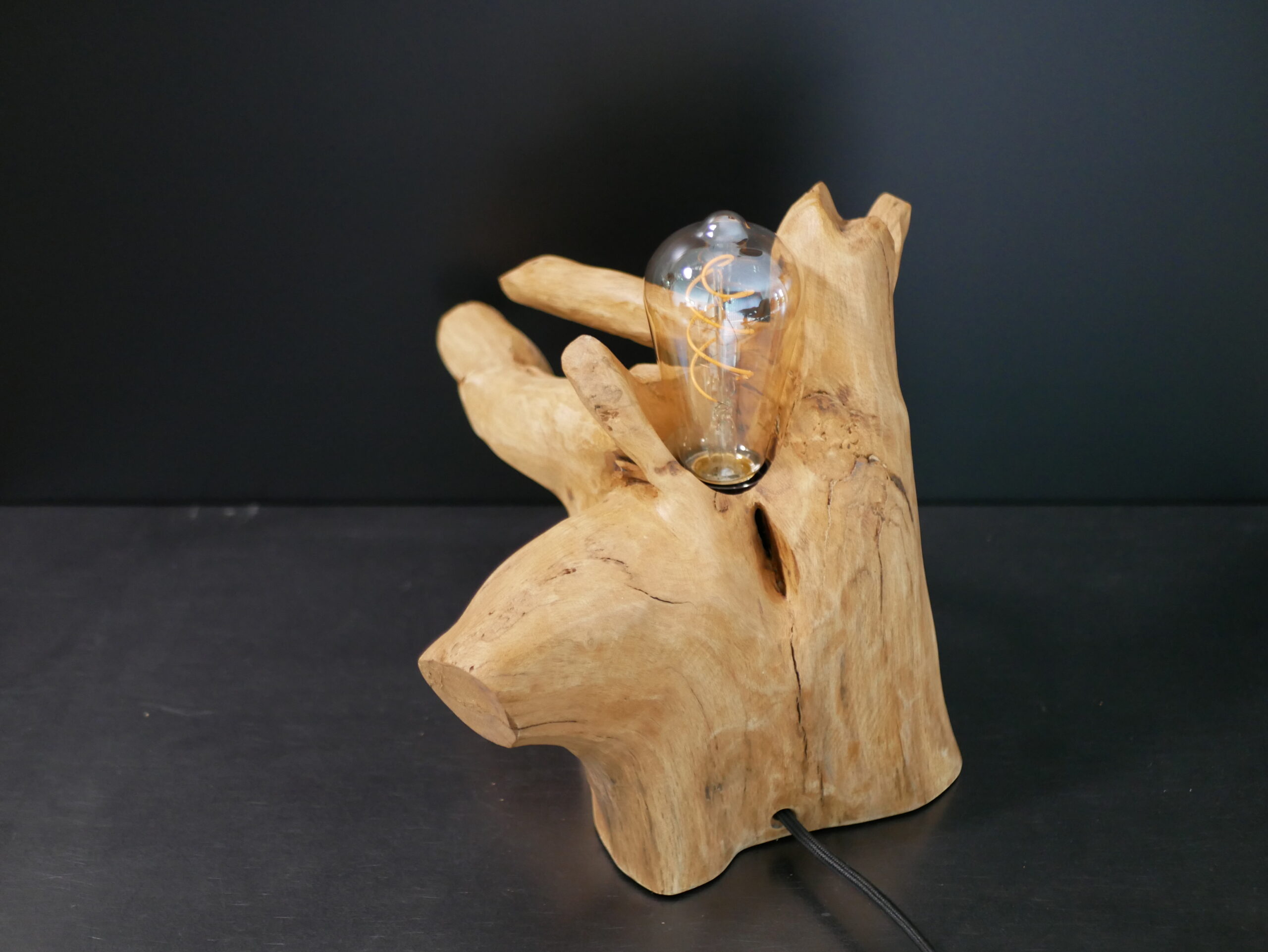 Lampe racine N°4 – Image 9