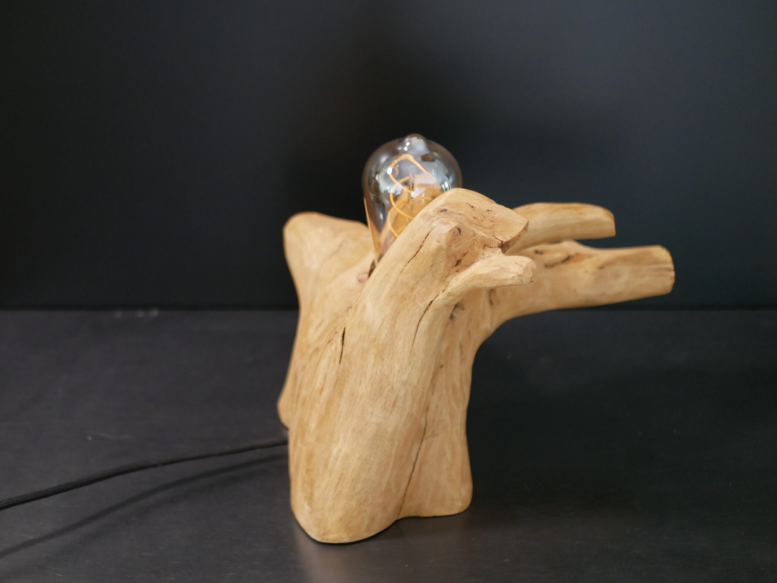Lampe racine N°4 – Image 11
