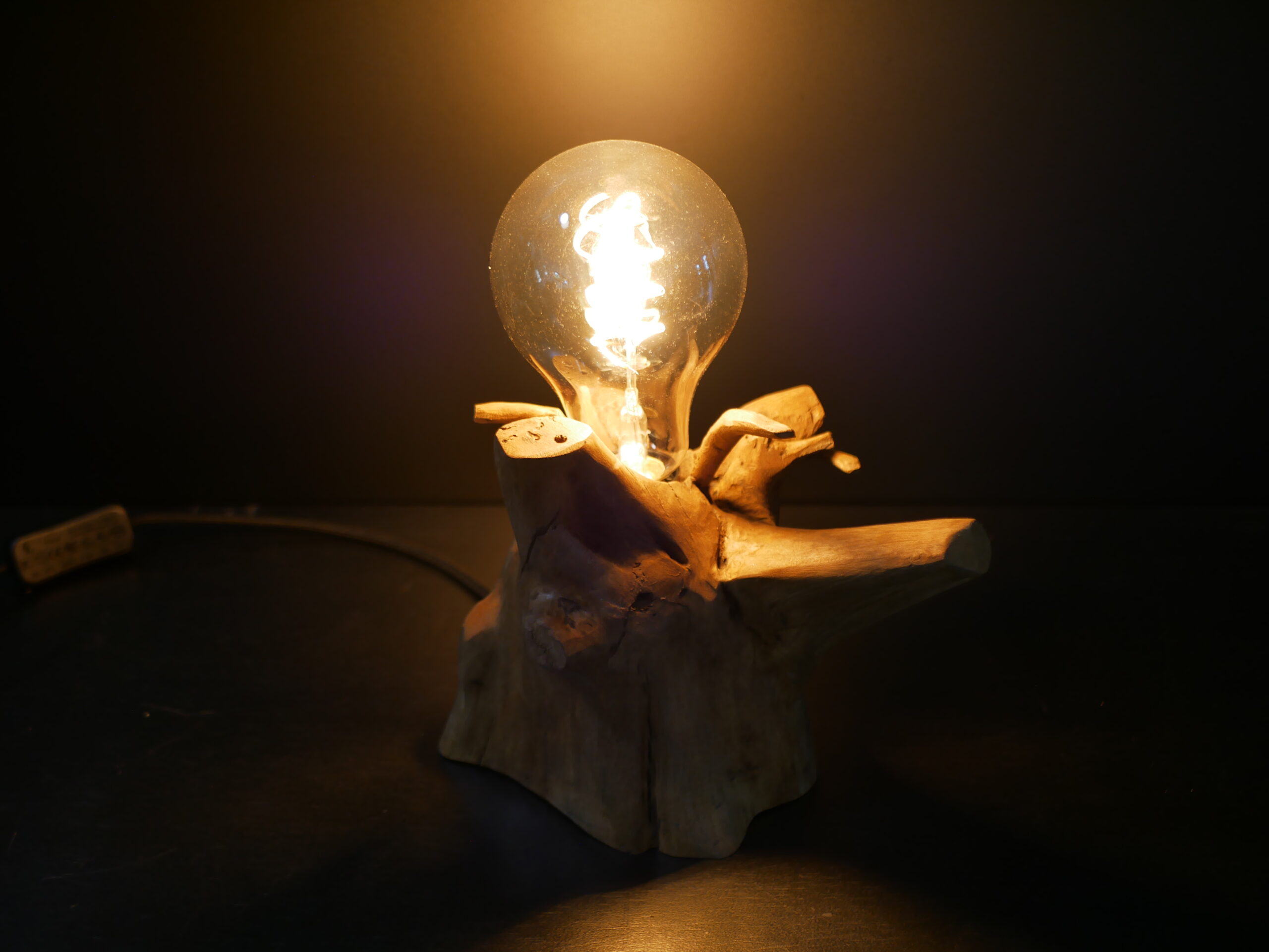 Lampe racine N°5 – Image 4