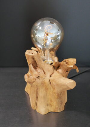 Lampe racine N°5