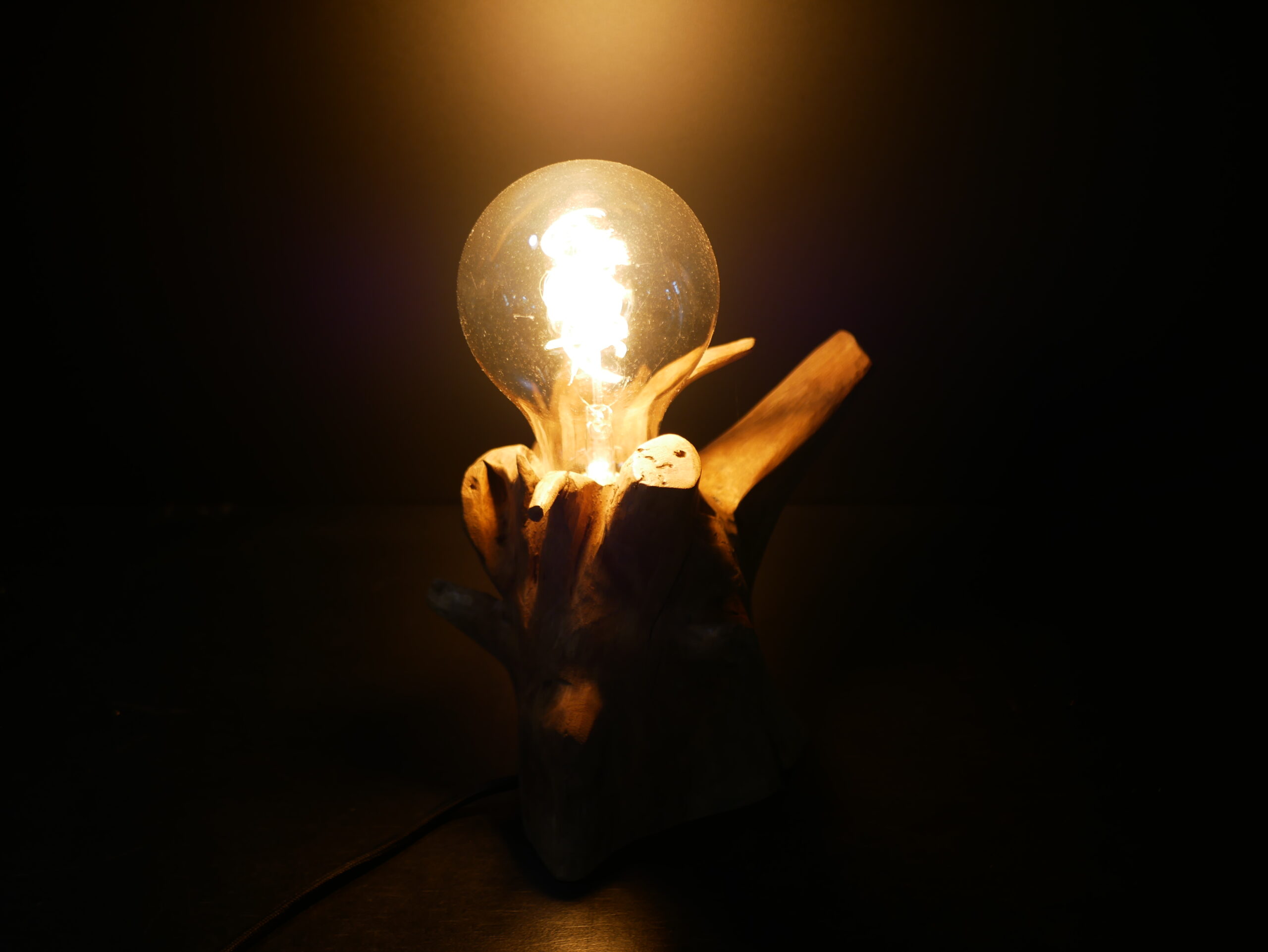 Lampe racine N°5 – Image 15