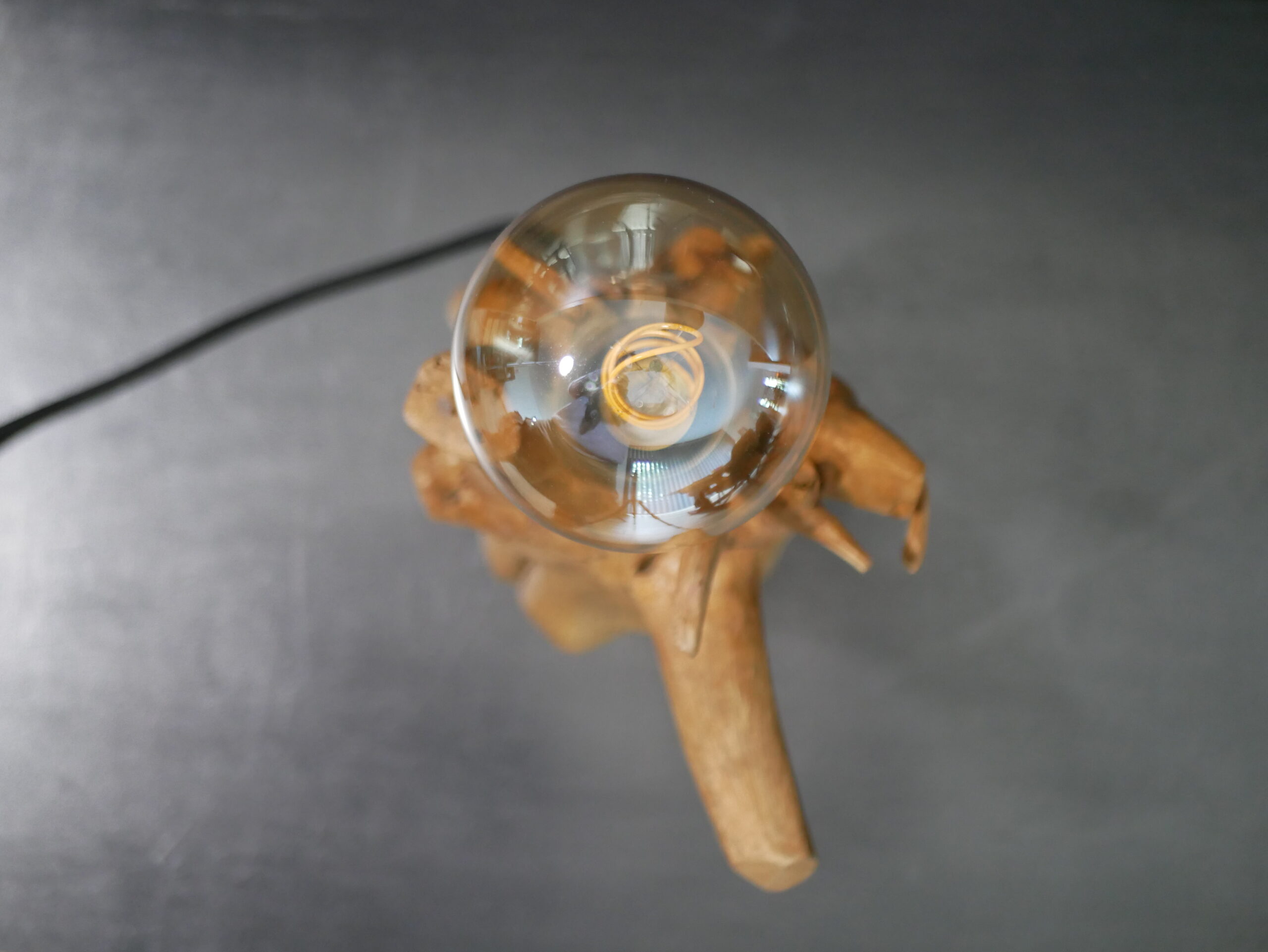 Lampe racine N°5 – Image 16