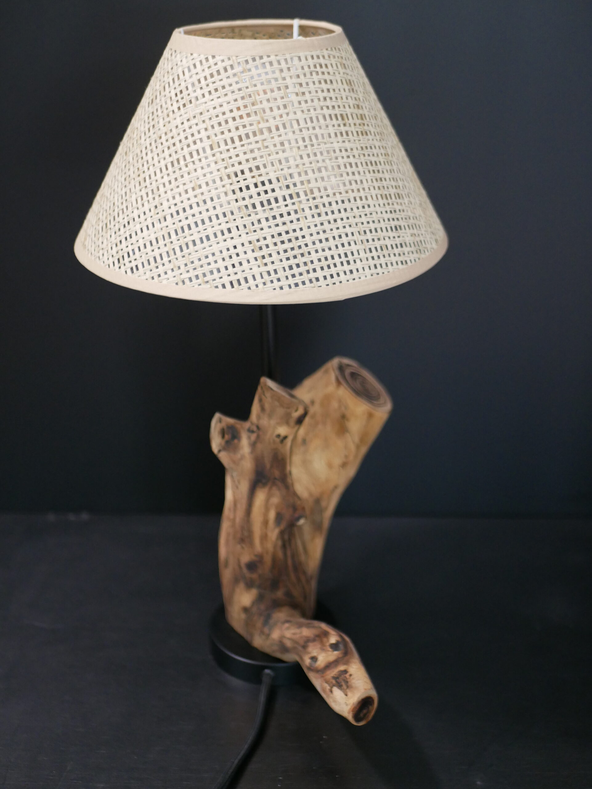 Lampe abat-jour N°2 – Image 2