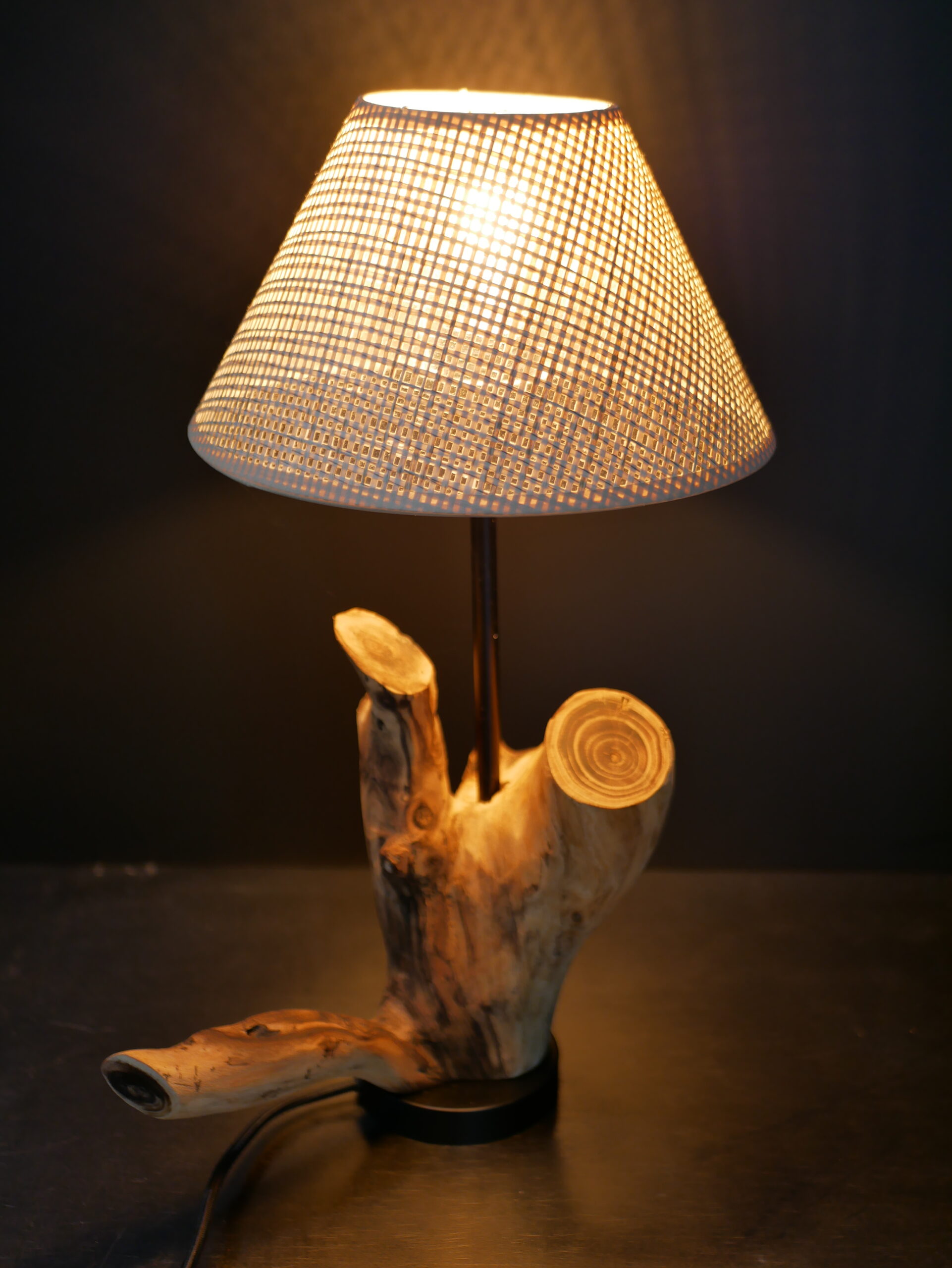Lampe abat-jour N°2