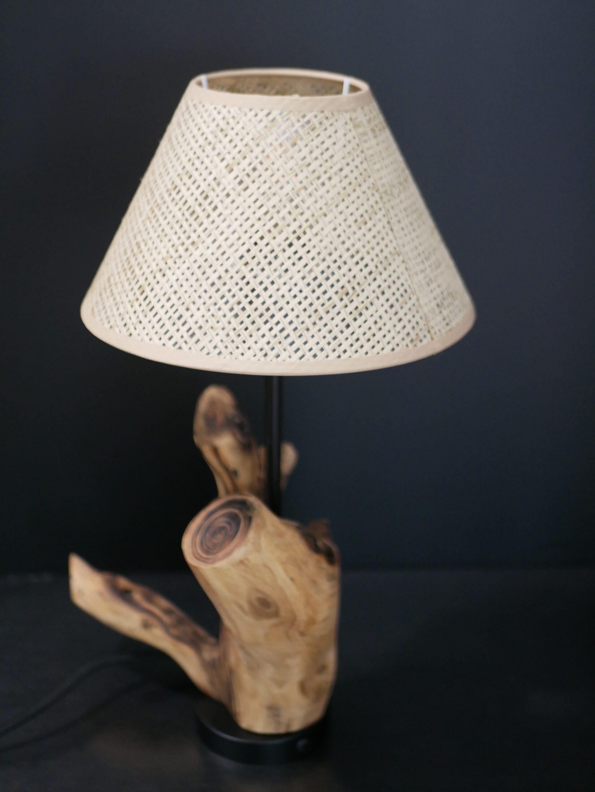 Lampe abat-jour N°2 – Image 5