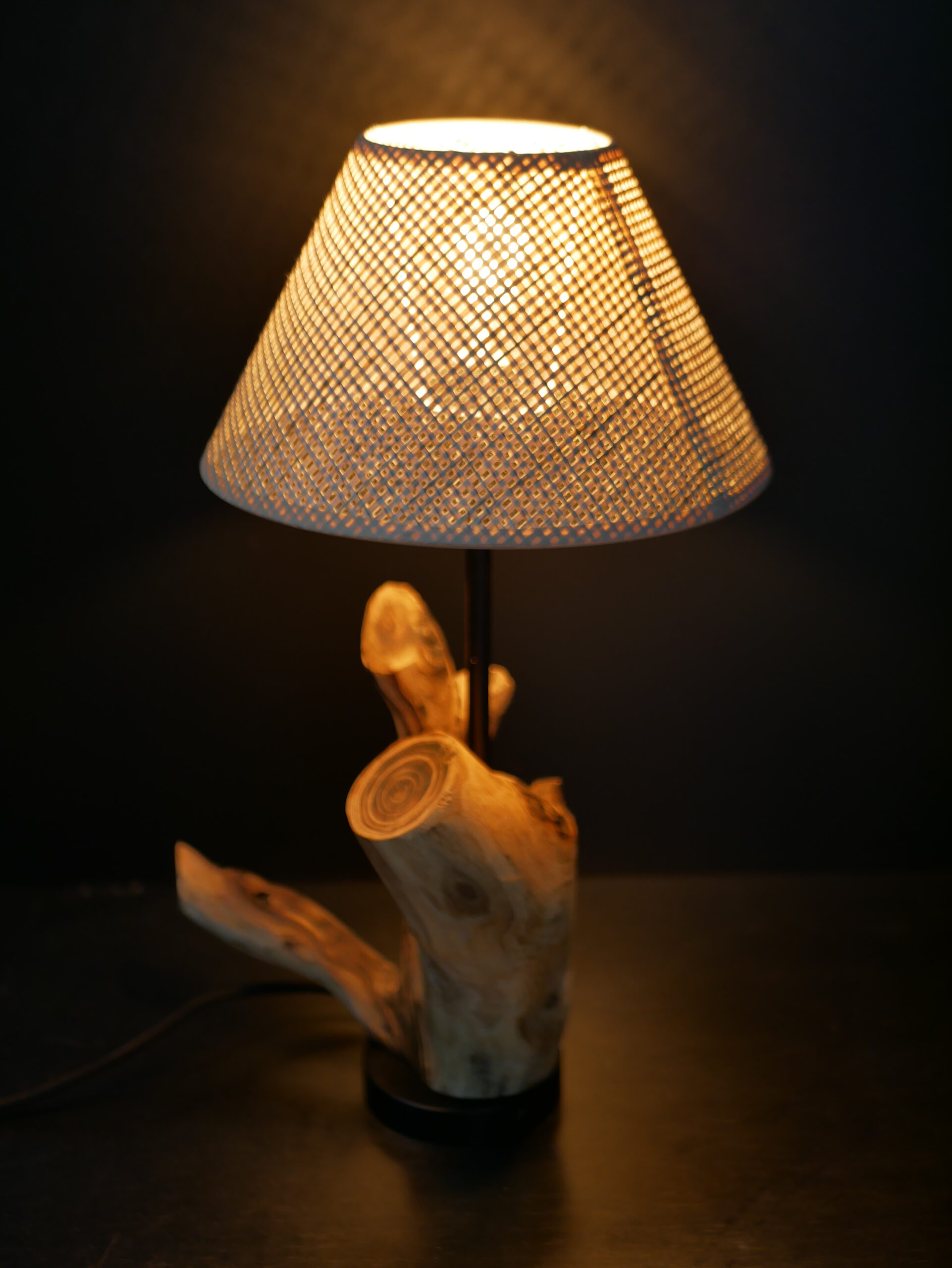 Lampe abat-jour N°2 – Image 7