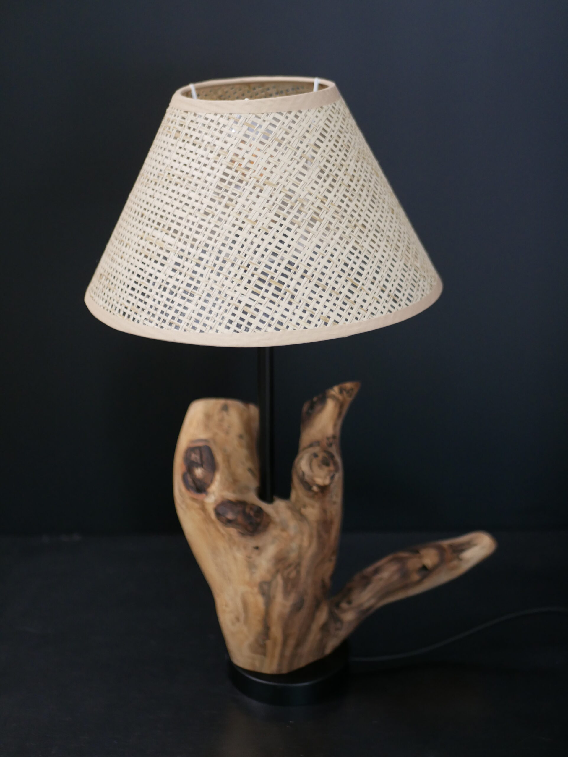 Lampe abat-jour N°2 – Image 10