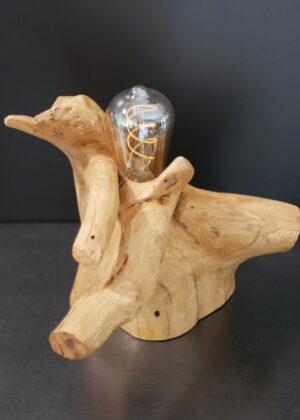 Lampe racine N°4