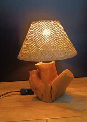 Lampe abat-jour N°4