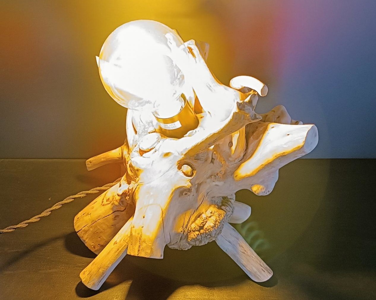 Lampe racine N°6 – Image 5