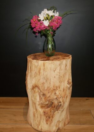 Table d'appoint N°5