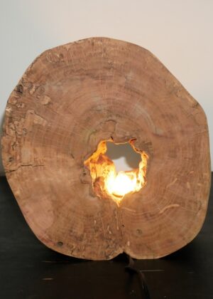 Lampe tranche de pommier